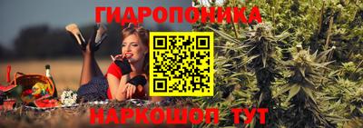 таблы Кингисепп