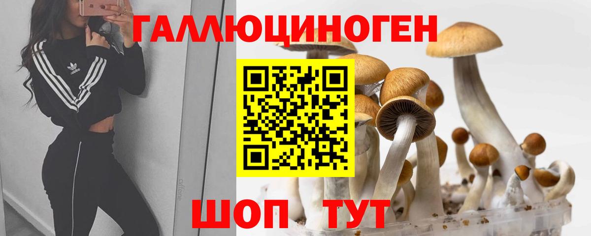 Псилоцибиновые грибы GOLDEN TEACHER  Вход с VPN  Энгельс 
