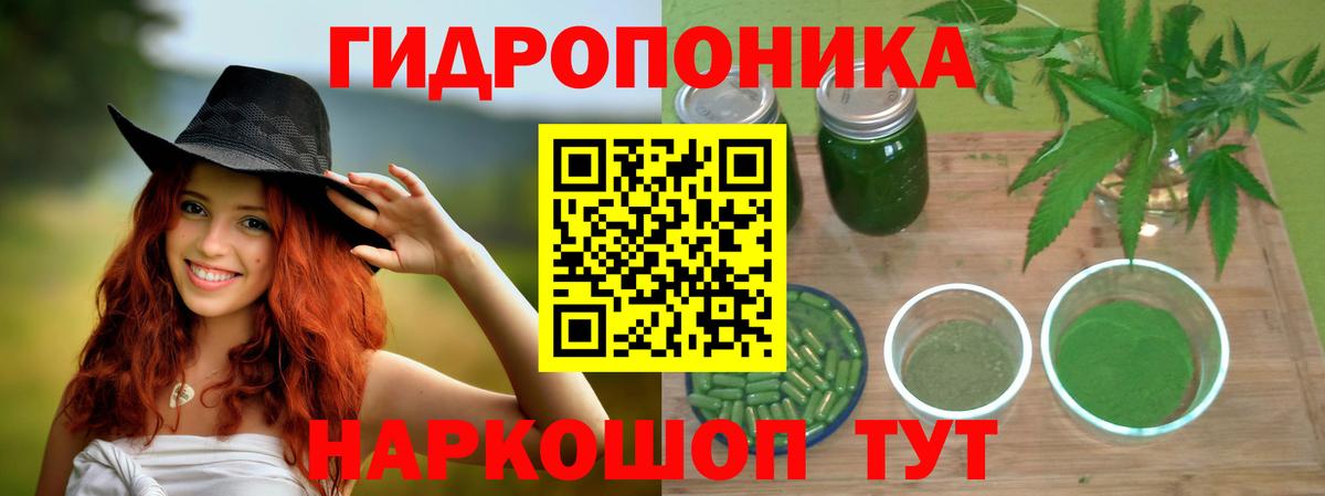Конопля индика Энгельс